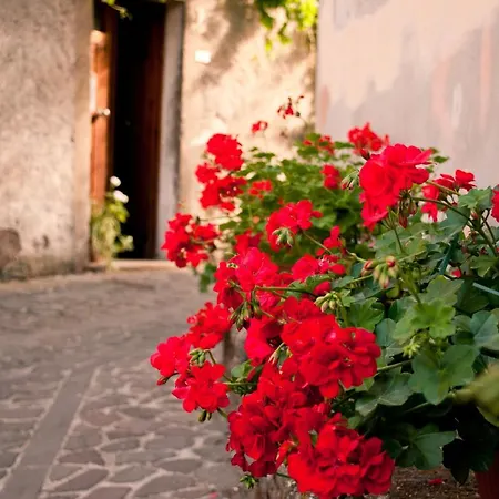 I Gerani Rossi Maison d'hôtes Paulilatino