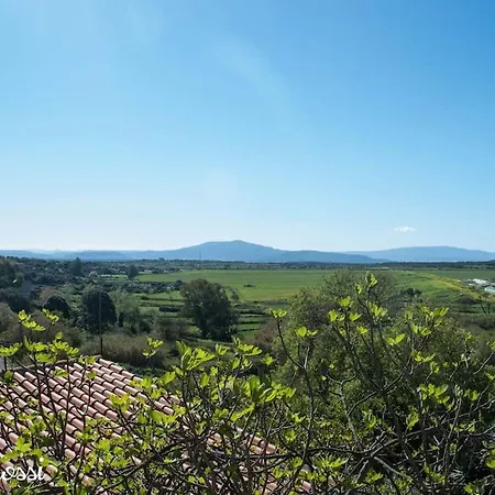 I Gerani Rossi Maison d'hôtes Paulilatino