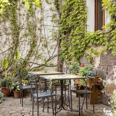 I Gerani Rossi Paulilatino