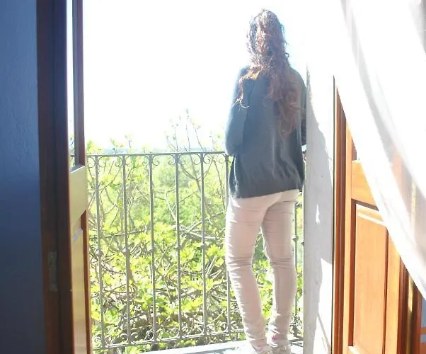 I Gerani Rossi Paulilatino